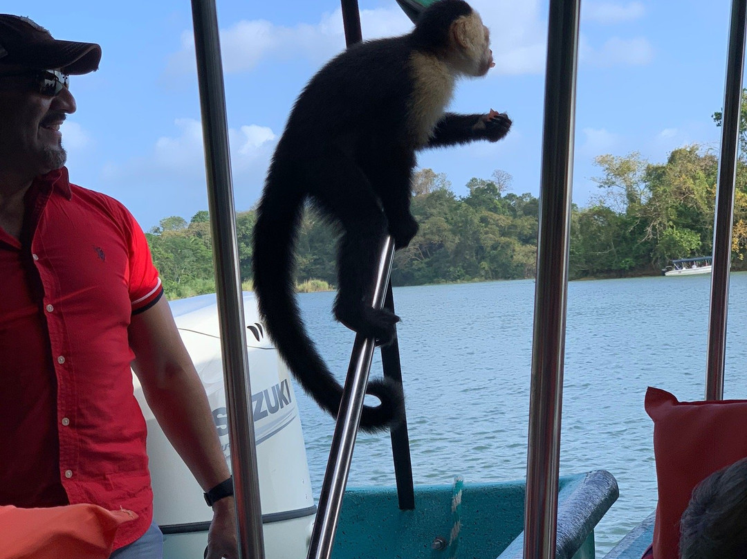 Gamboa Rainforest Resort Monkey Island Tour景点图片