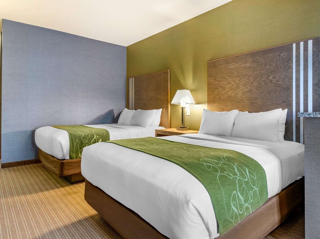 Comfort Suites Southgate主图