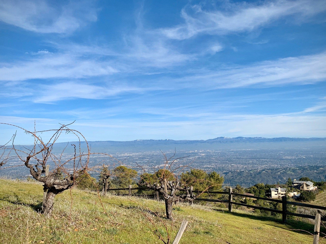 Ridge Vineyards-库柏蒂诺必去景点