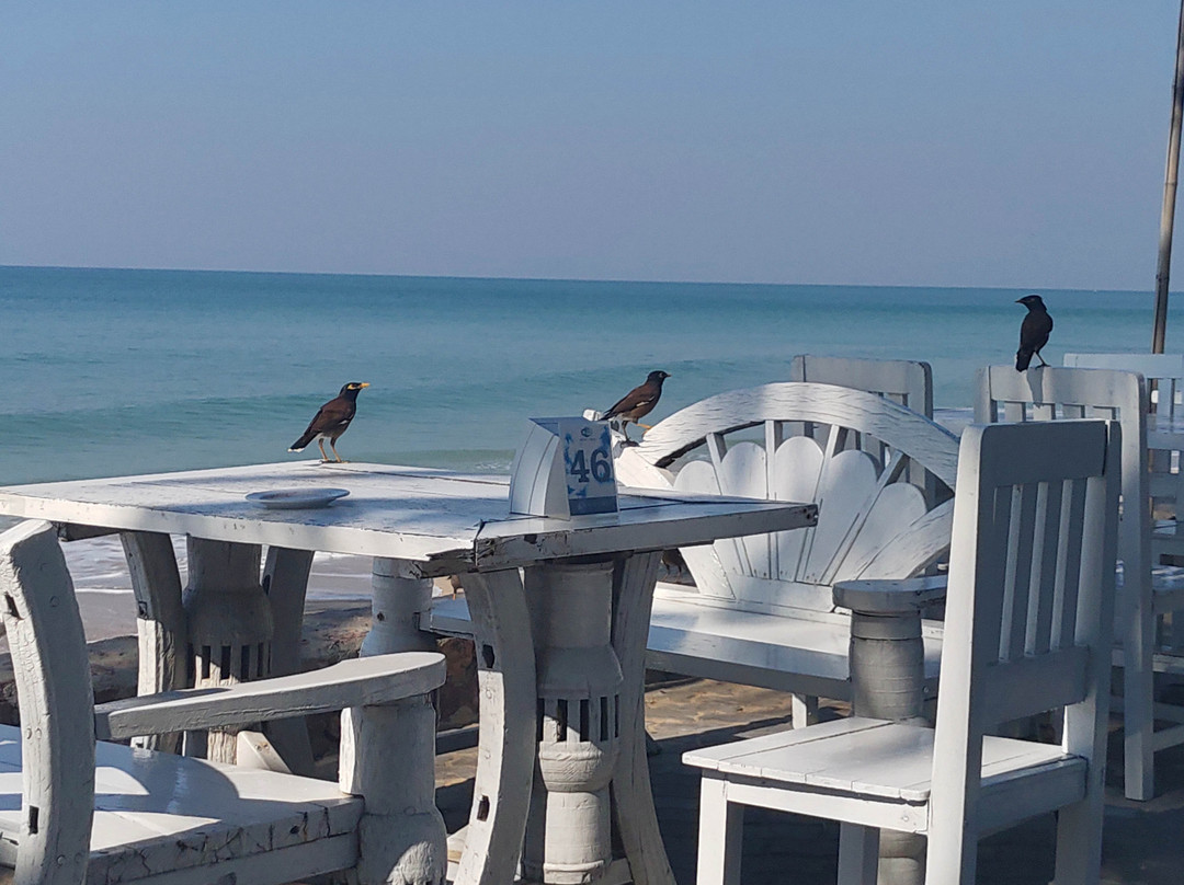 晁老桑湾酒店主图