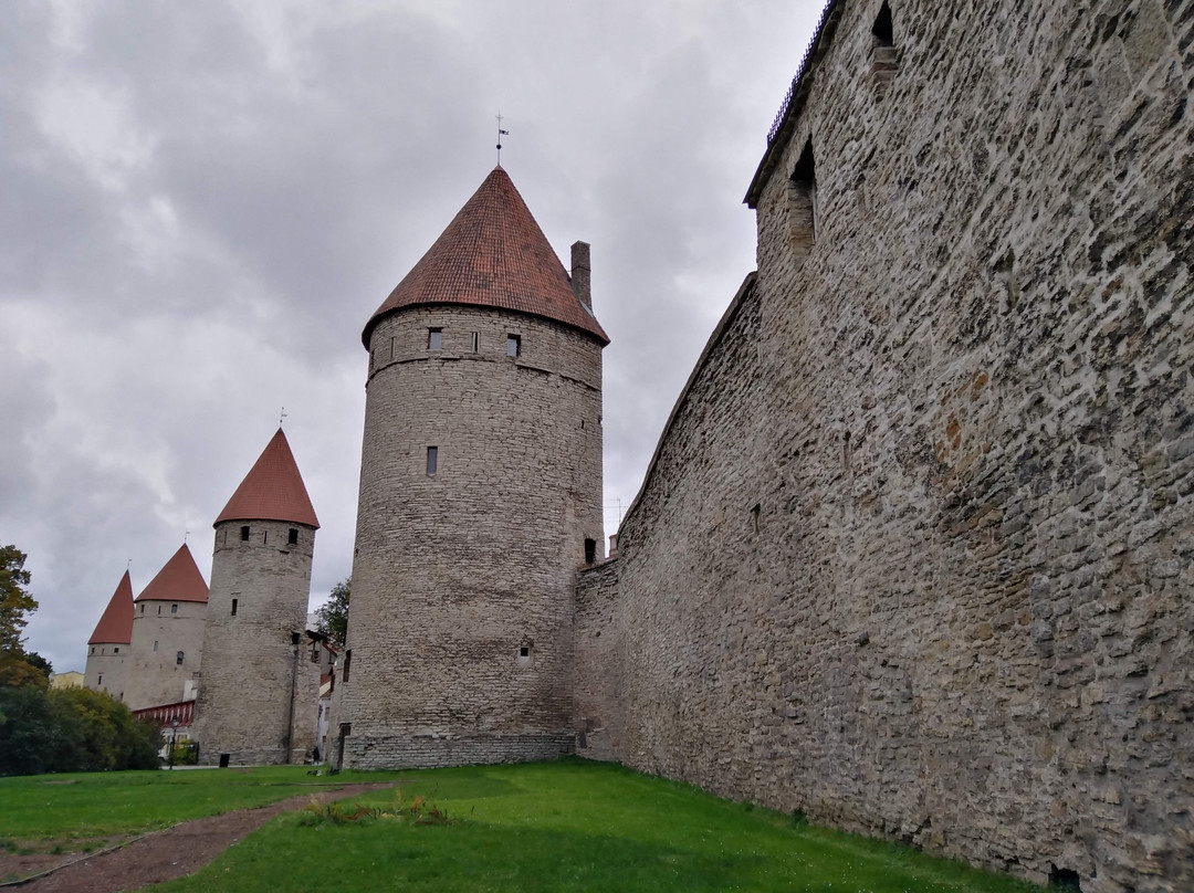 Peter Good Tours-圣彼得堡必去景点