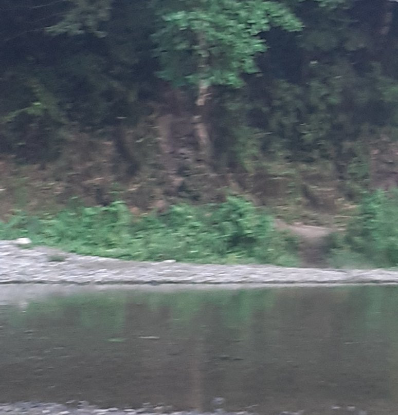 Reggae Falls-Hillside必去景点