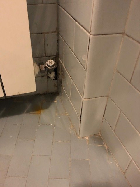 Hotel Rosa Serenella主图