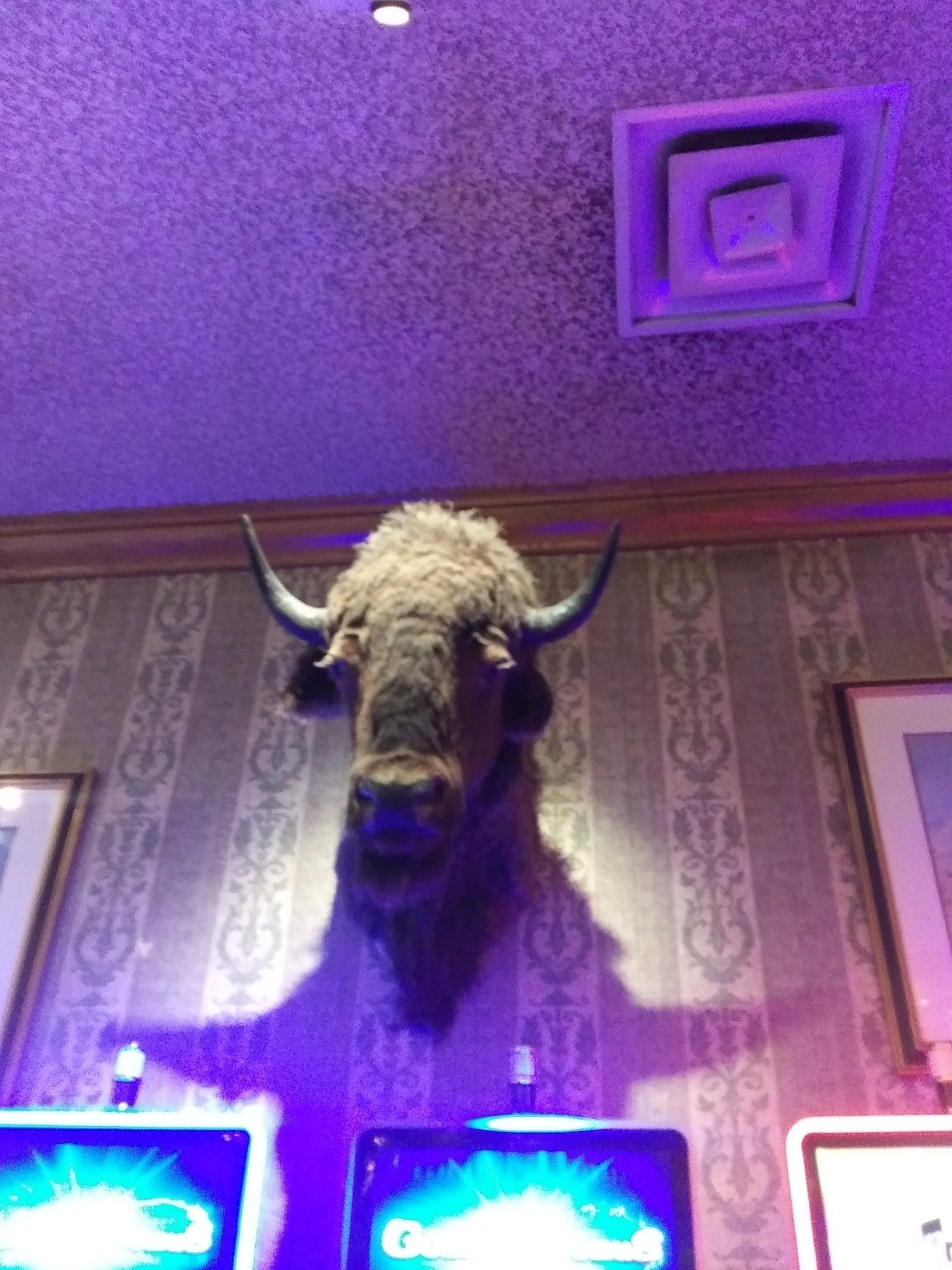 美国最佳价值黄金乡村旅馆&赌场-portrait