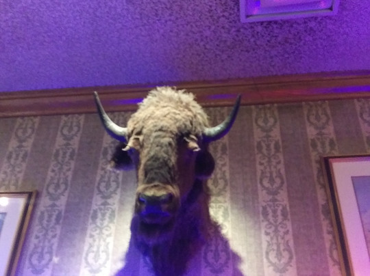 美国最佳价值黄金乡村旅馆&赌场主图