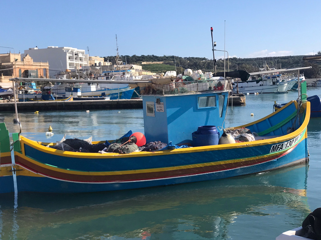 Marsaxlokk Harbour景点图片