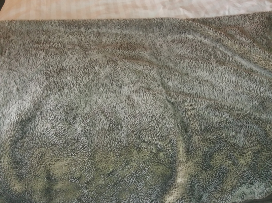 The Lion Hotel主图