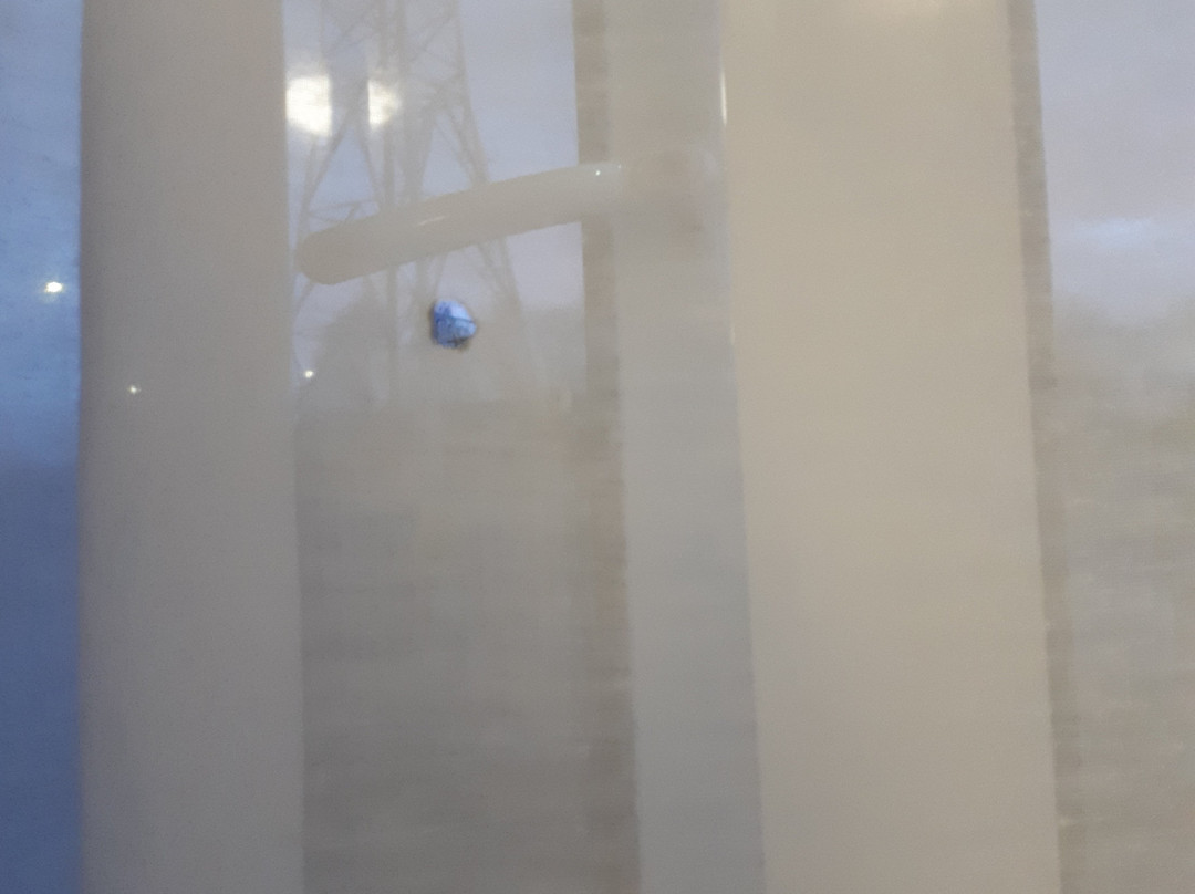 Travelodge Birmingham Dudley主图