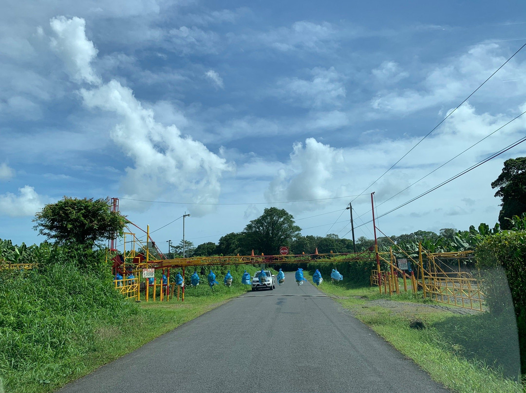 Costa Rica Trip Guide景点图片