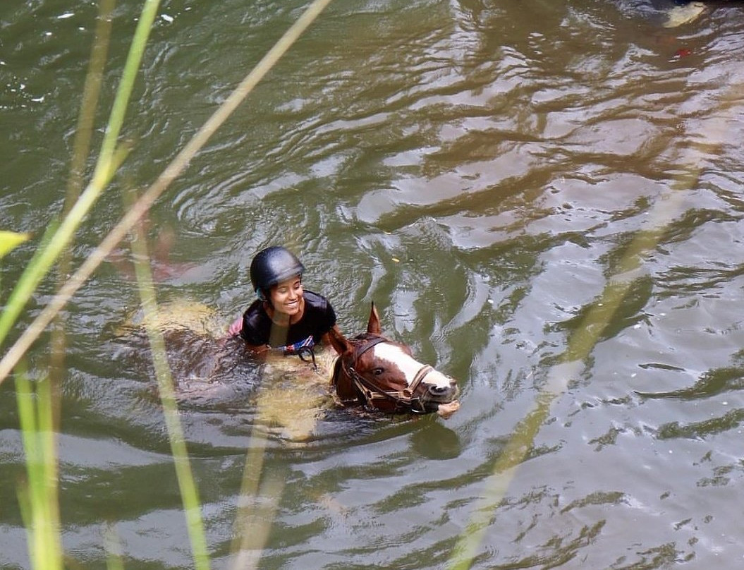 EyesCaraibes-瓜德罗普岛必去景点