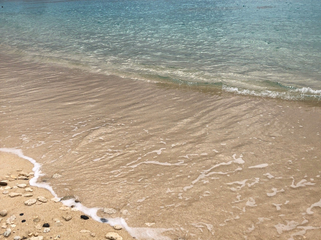 Sakibaru Beach-奄美市必去景点