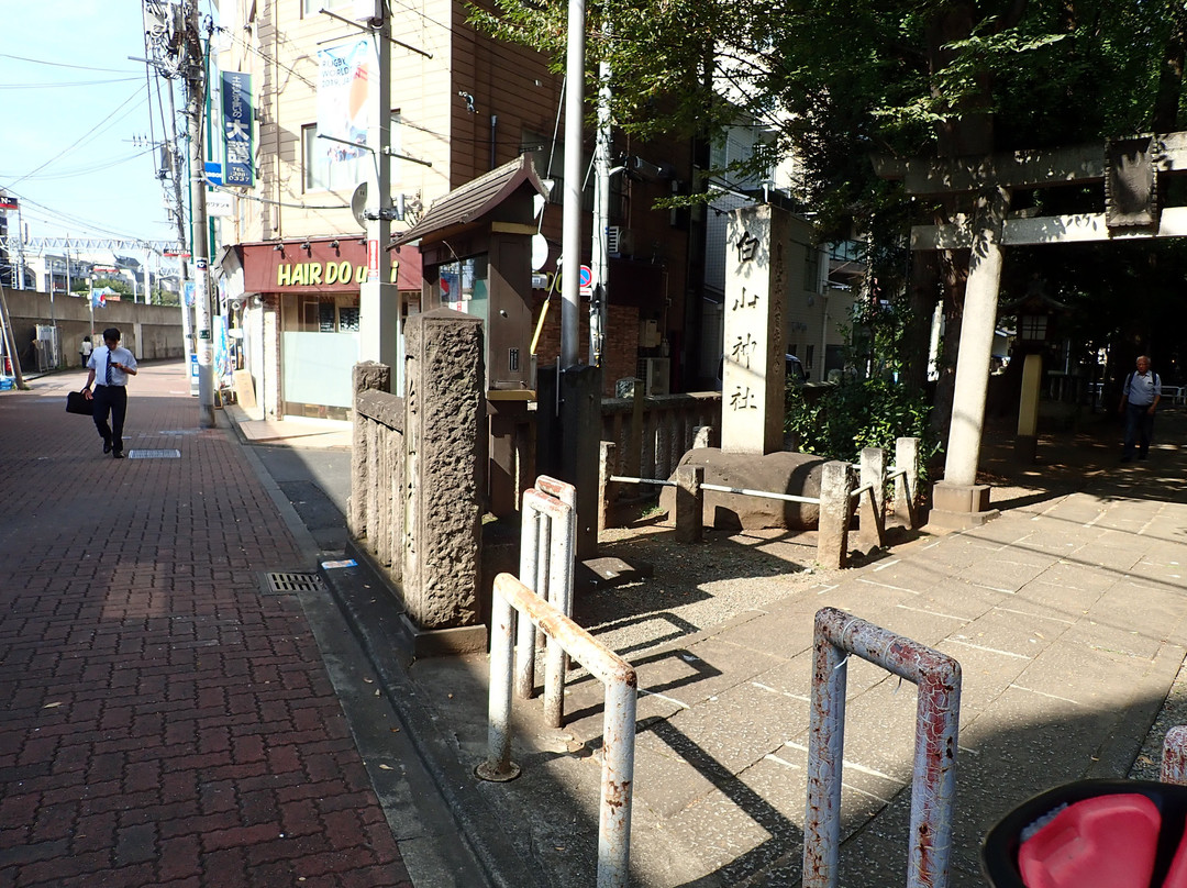 Ogikubo Hakusan Shrine-杉并区必去景点