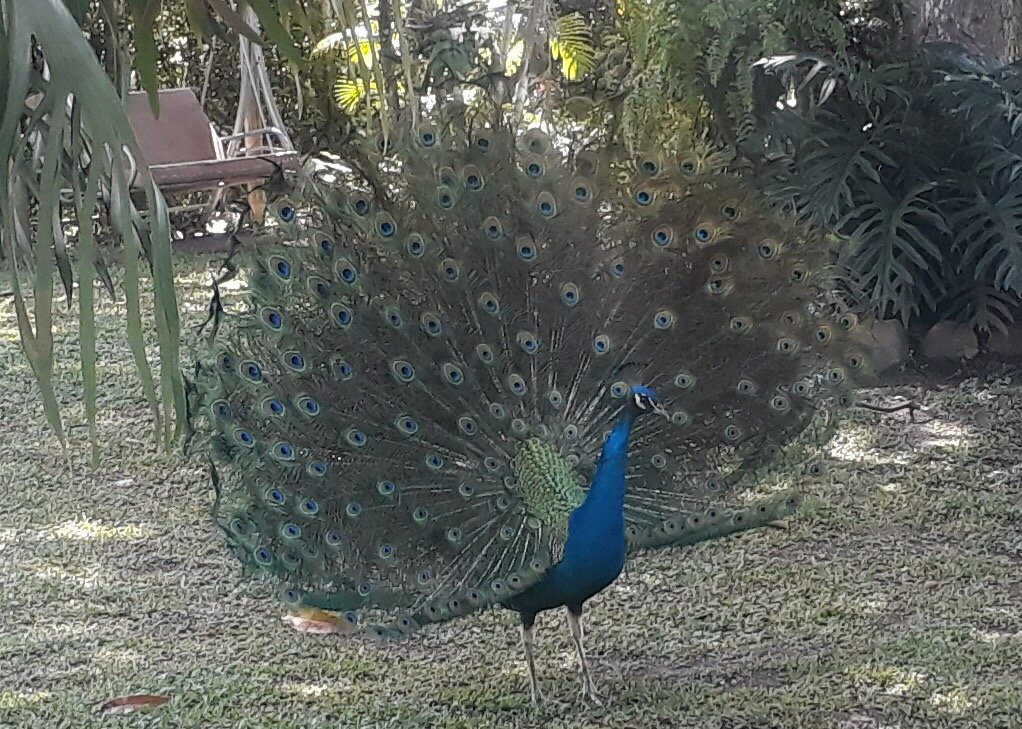 Finca Hotel El Manantial主图