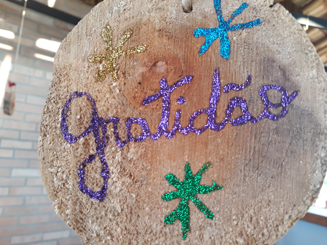 Parque Natural Terra das Cachoeiras-Bueno Brandao必去景点