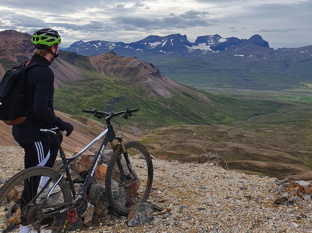 Fjord Bikes景点图片