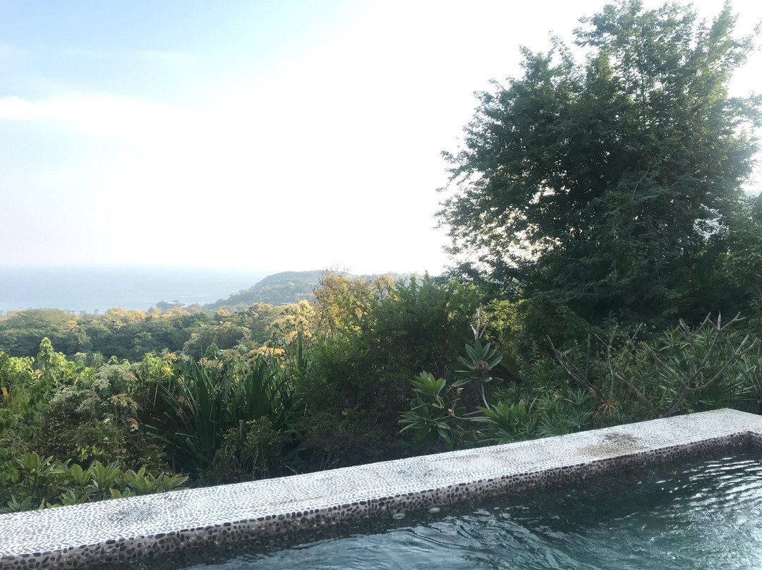 Las Almas Petit Hotel主图