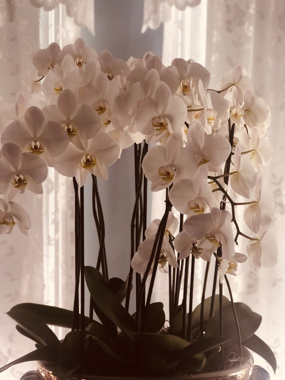 Cloghaun Bed and Breakfast-portrait