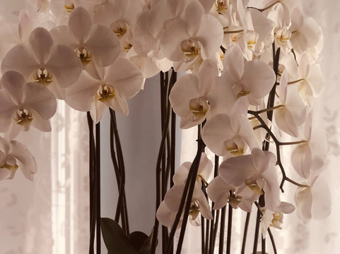 Cloghaun Bed and Breakfast主图