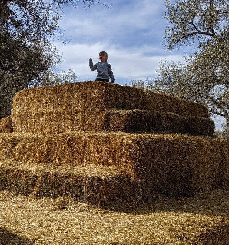 Riverside Discovery Center-Scottsbluff必去景点