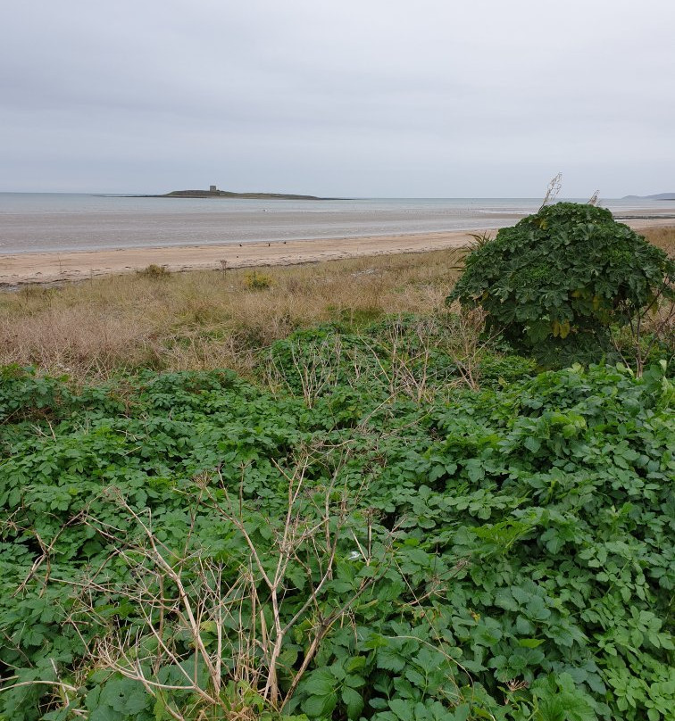 Skerries Tourist Walks-斯克列必去景点