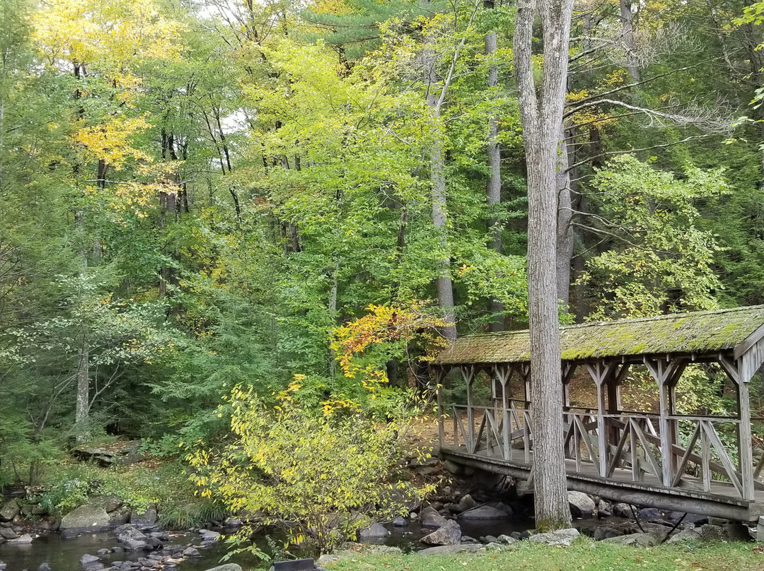Willard Brook State Forest景点图片