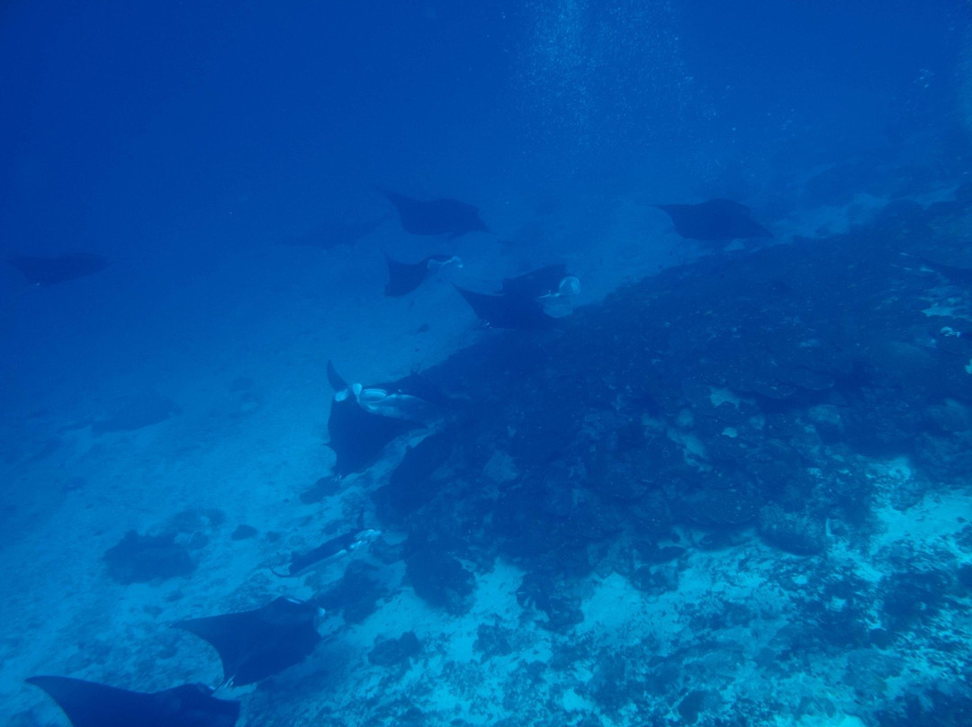 Aquaventure PADI 5 Star Dive Center景点图片