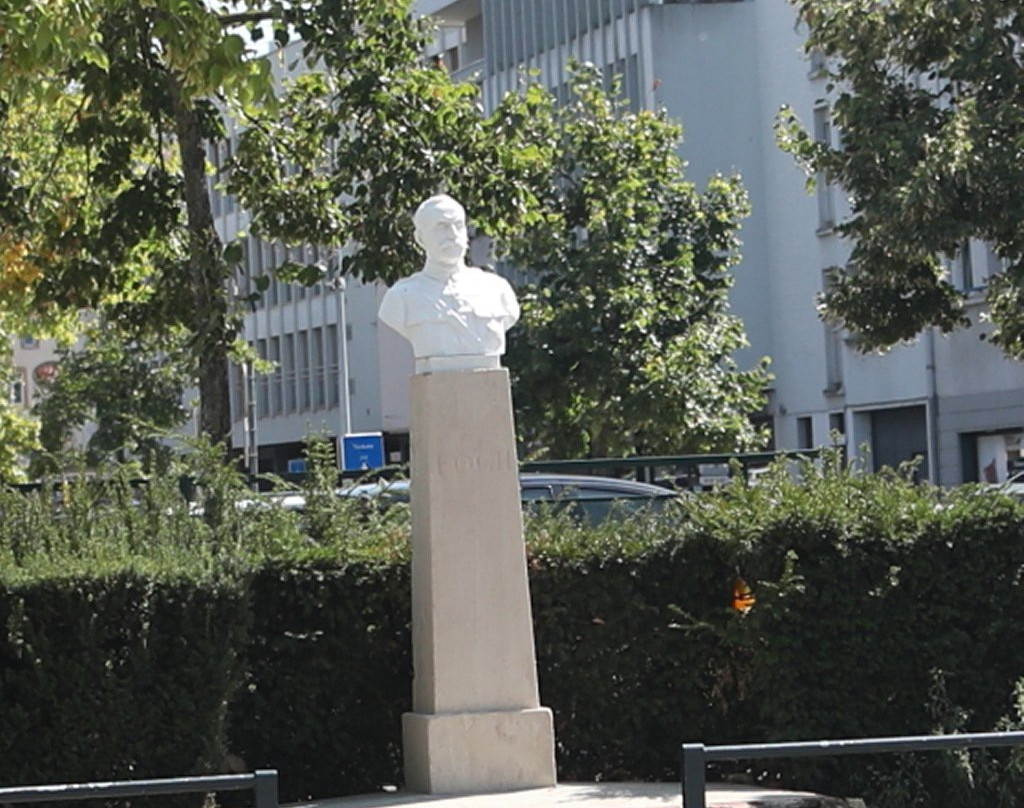 Buste du maréchal Foch景点图片
