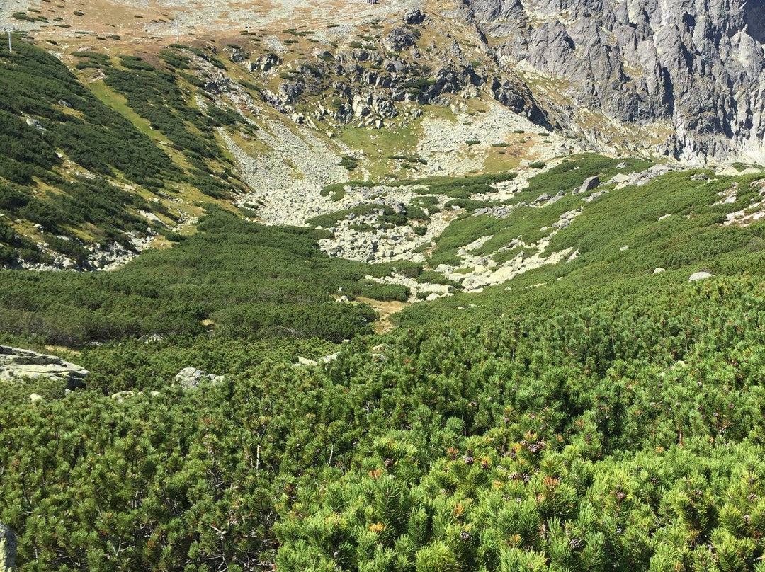 Skalnate pleso-Vysoke Tatry必去景点