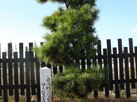 Torinoumi Parking Area Inbound and Outbound-亘理町必去景点