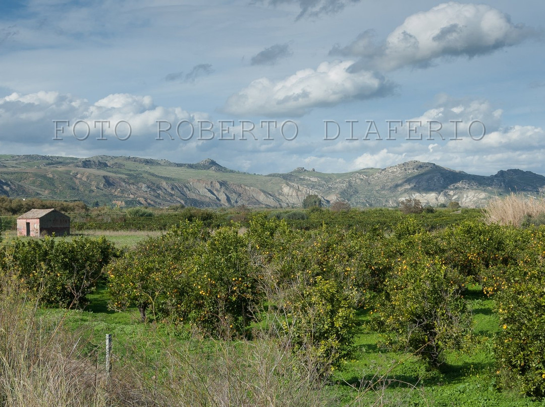 Oasi di Ponte Barca景点图片