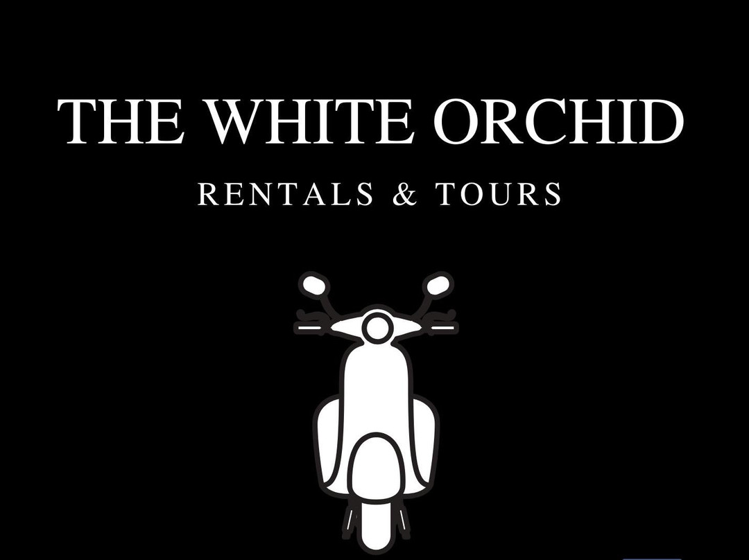 The White Orchid Rentals & Tours