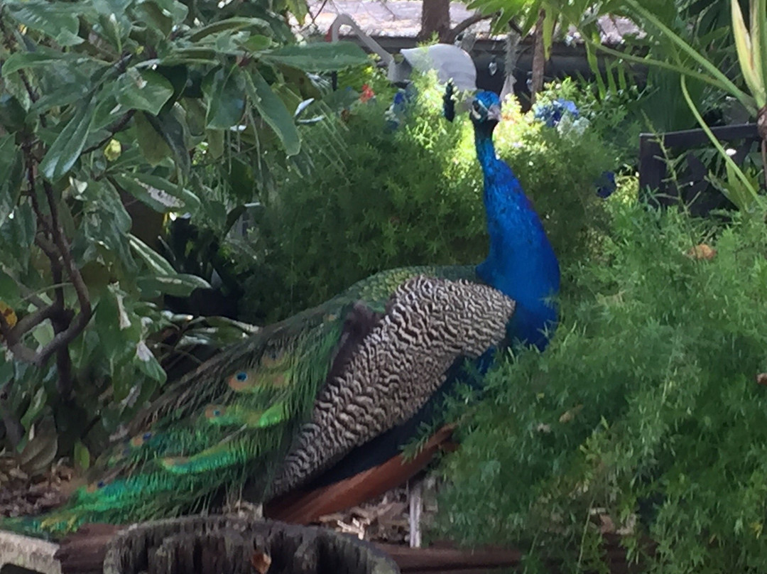 Sportsman's Lodge主图