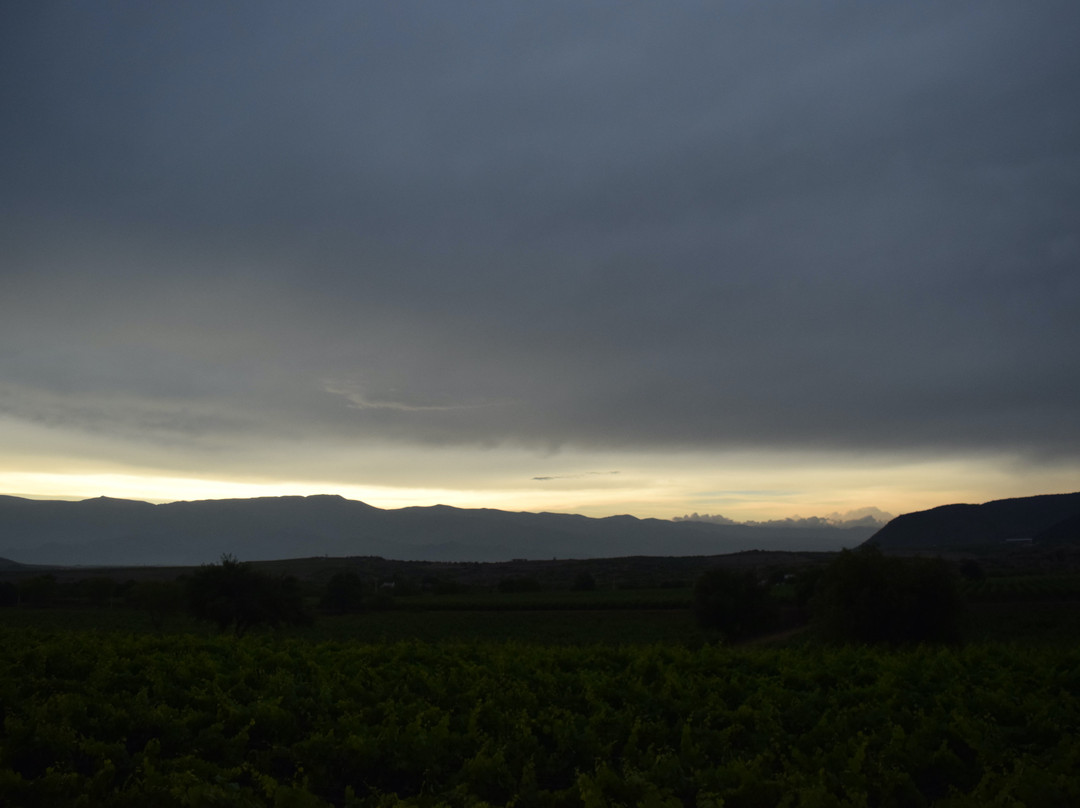 Bodega Aranjuez 1976-塔里哈必去景点