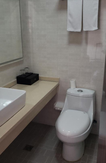 星之悦酒店(上海浦东国际机场晨阳路店）主图