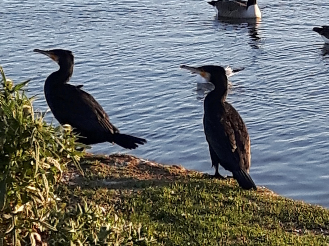 Queen Elizabeth II Country Park-Ashington必去景点