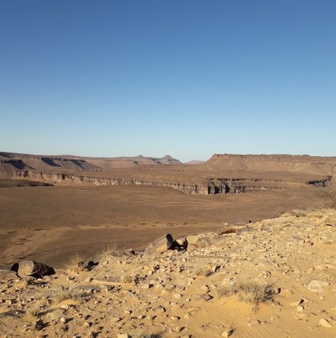 Desert Mauritanie-诺克少必去景点