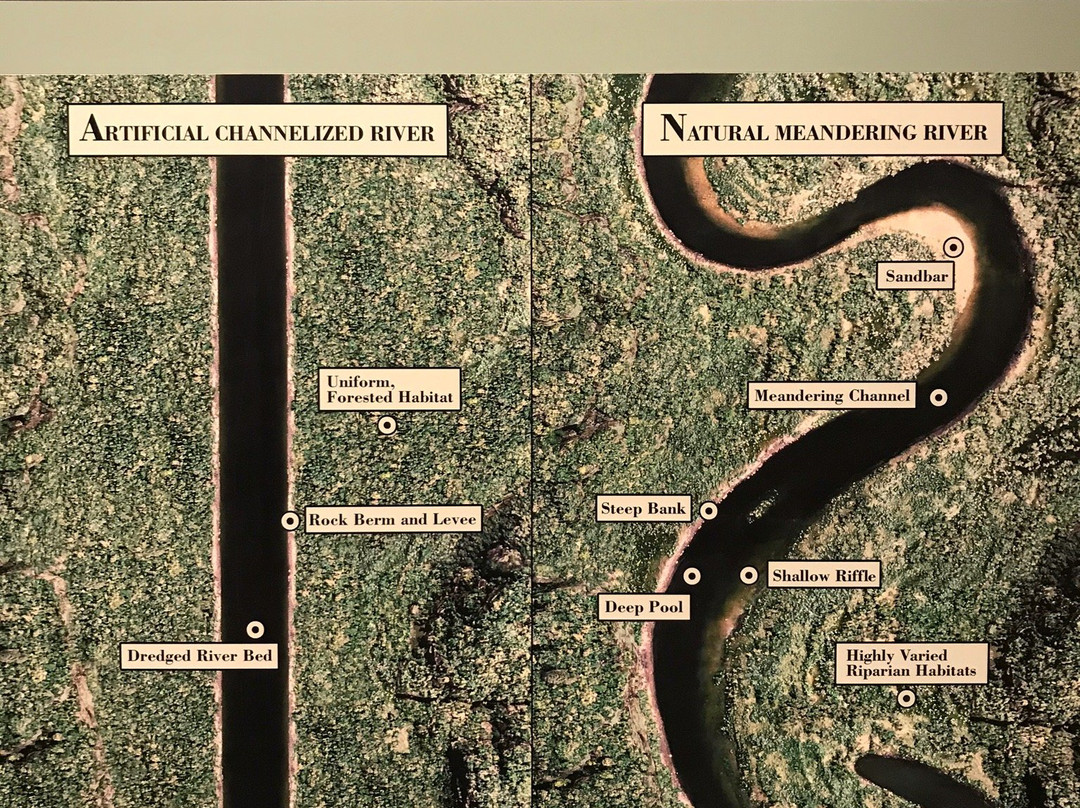 Henry N Barkhausen Cache River Wetlands Center-Cypress必去景点