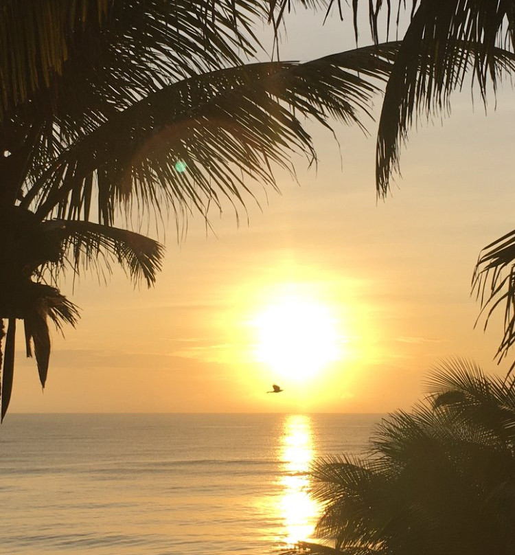 迷人图鲁姆酒店主图