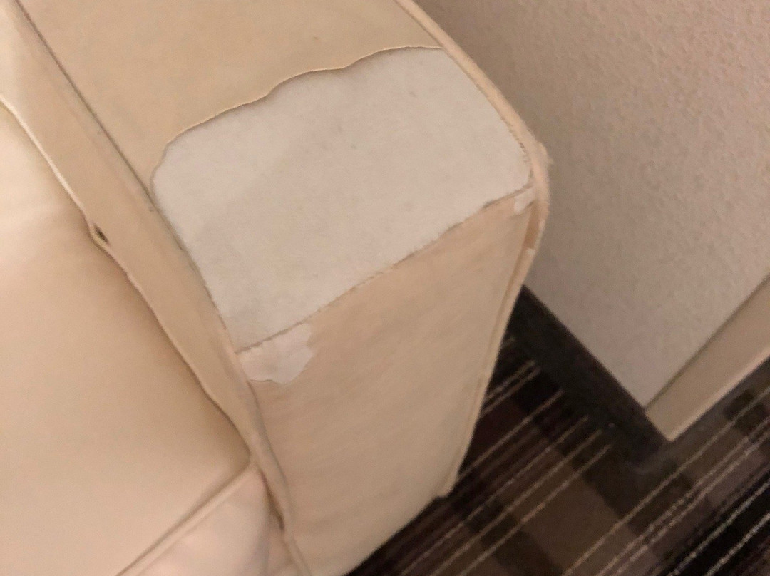 Comfort Suites Mandeville - Covington主图