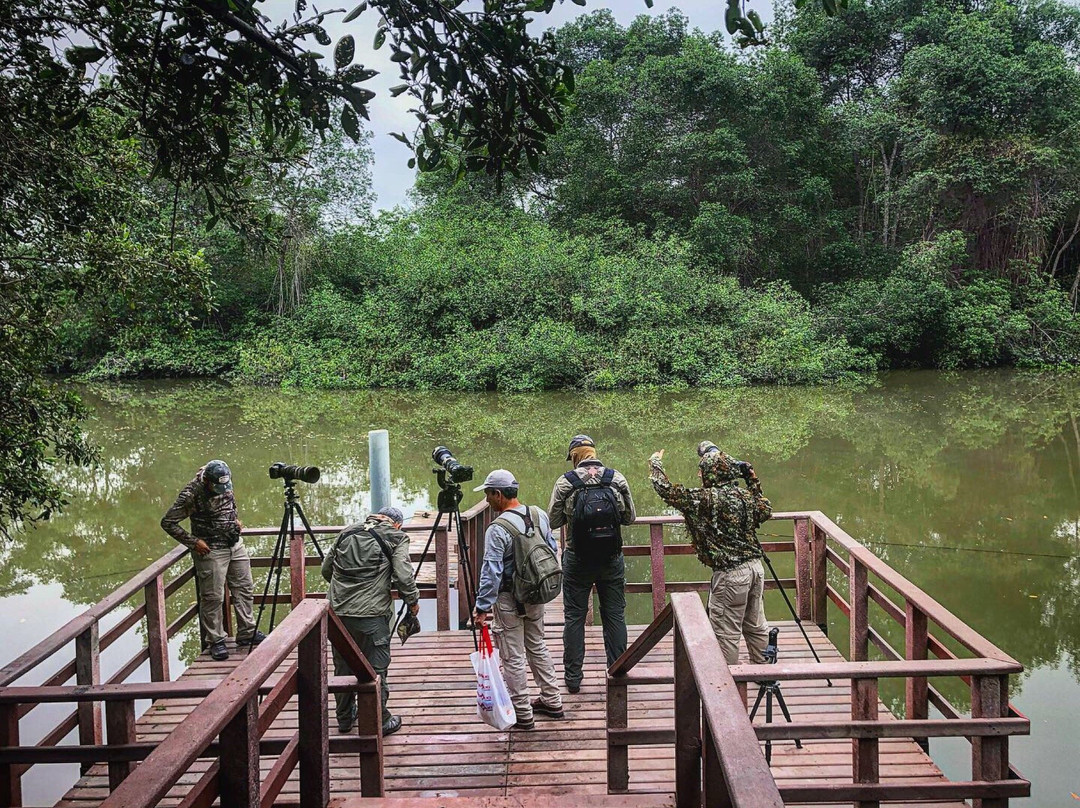 Manglares Churute Ecological Reserve-Posorja必去景点