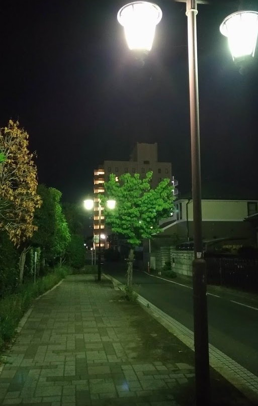 Hotel Crown Hills Yuki主图