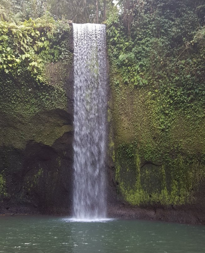 Bali A1 Driver-水明漾必去景点