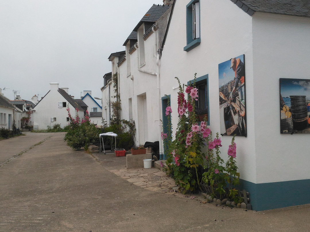 VVF Belle-Ile-en-Mer主图