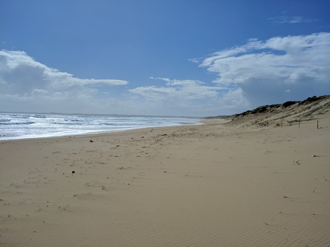 Woolamai Beach景点图片