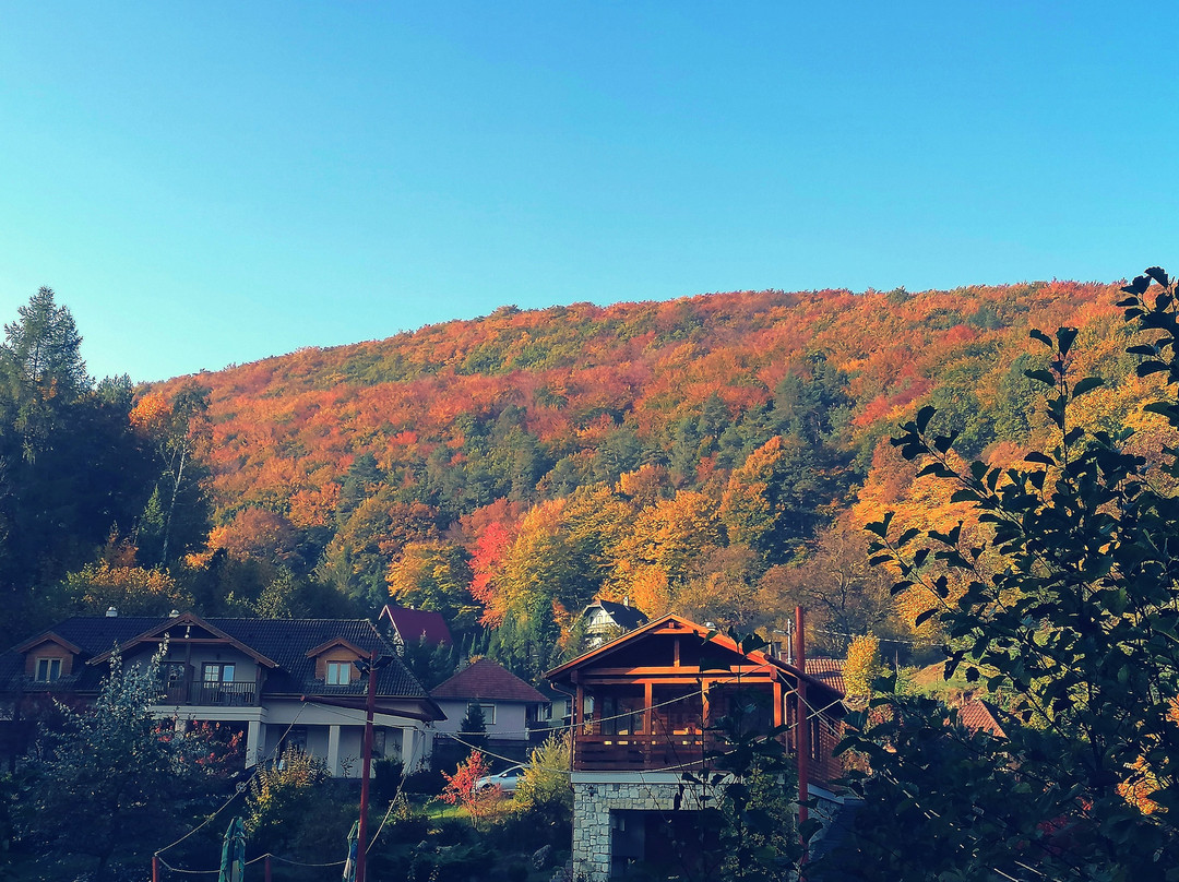 Aranybanya Hotel主图