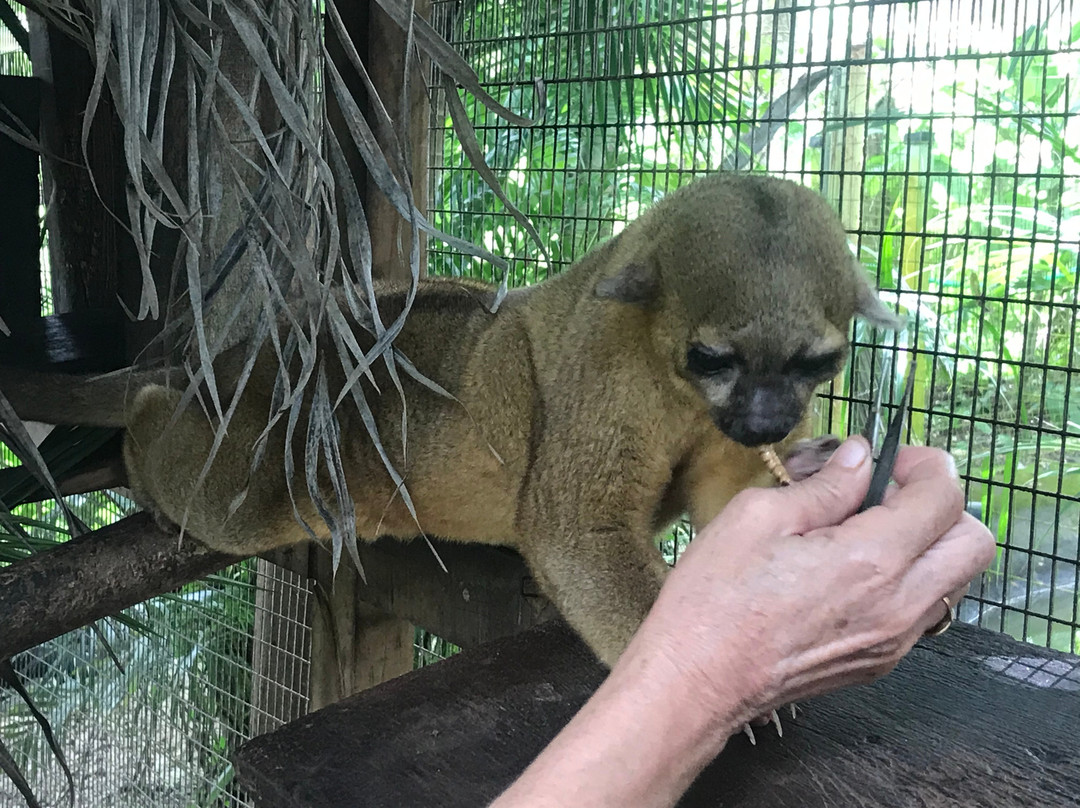 La Selva Wildlife Refuge景点图片