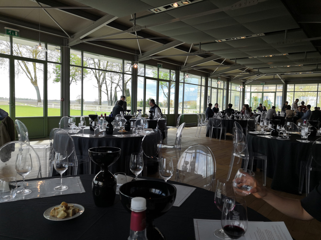 Bella Wine Tours-波尔多必去景点