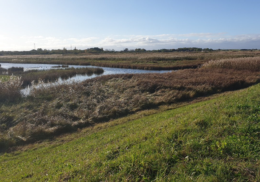 Oare Marshes Nature Reserve景点图片