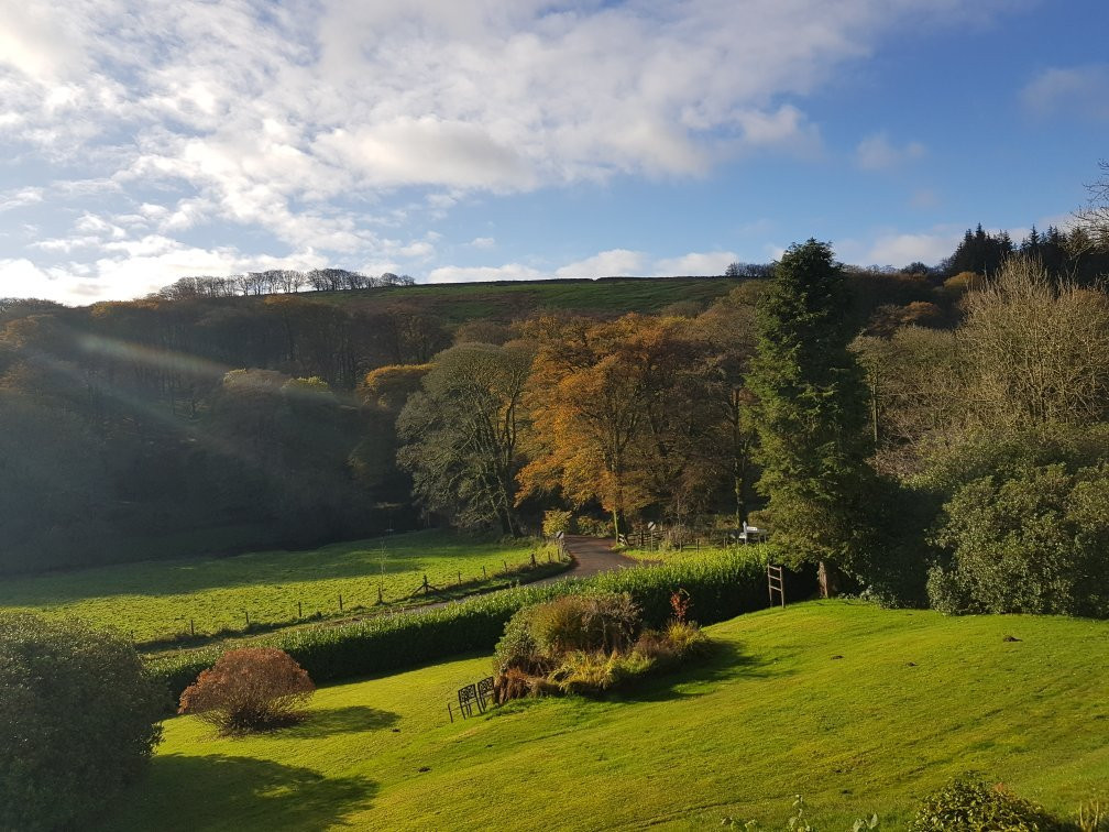 Simonsbath House主图