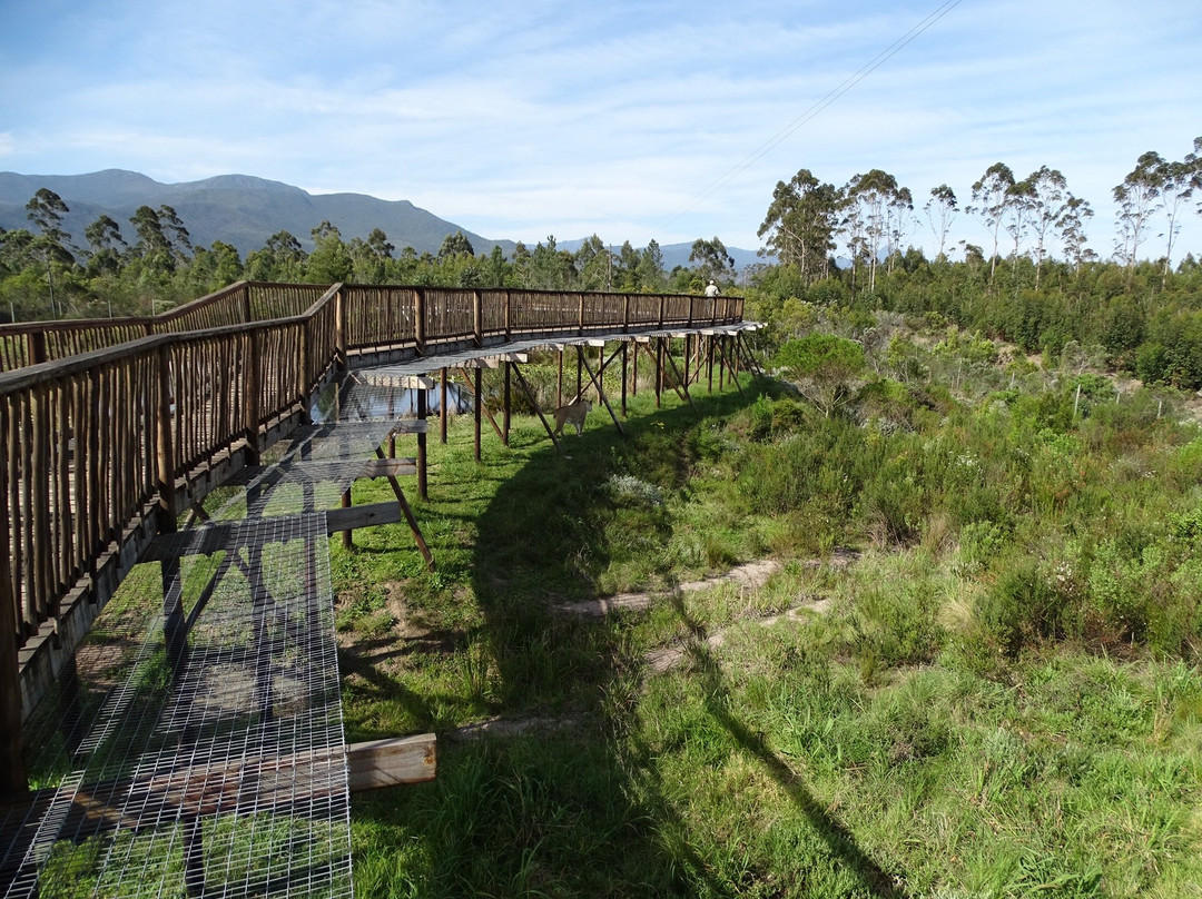 Tenikwa Wildlife Awareness Centre景点图片